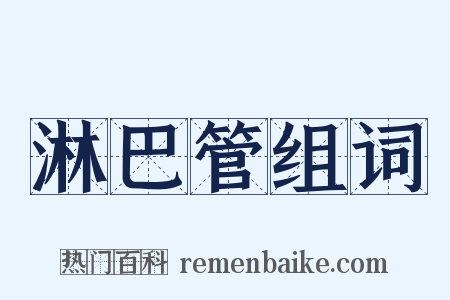 淋巴管组词是什么意思的图片